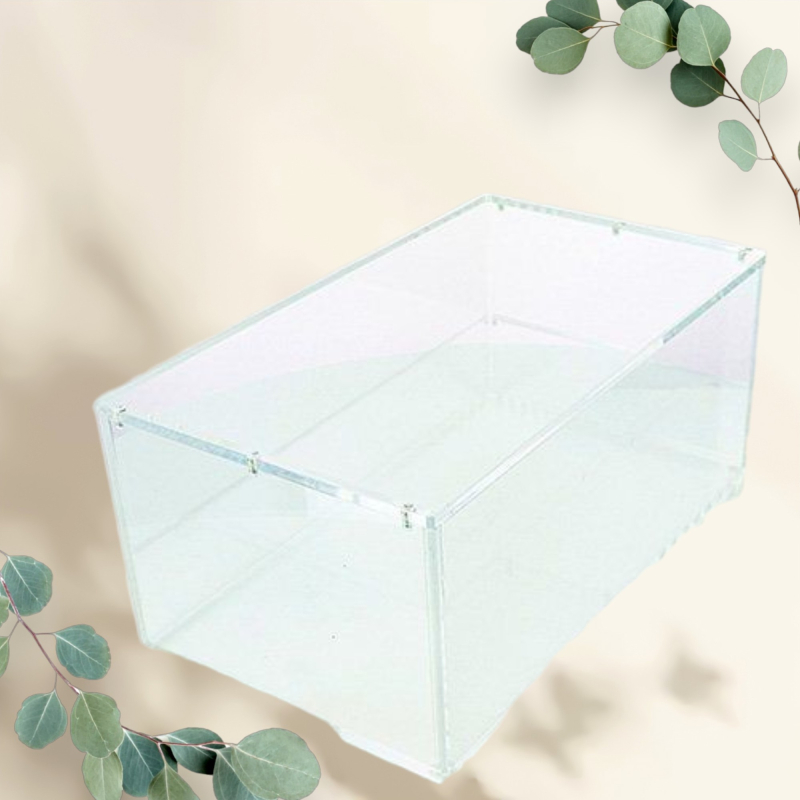 Acryl Case - Boosterbundel Display