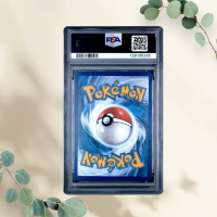 Mewtwo Vstar 2023 Crown Zenith PSA 10 - Pokémon