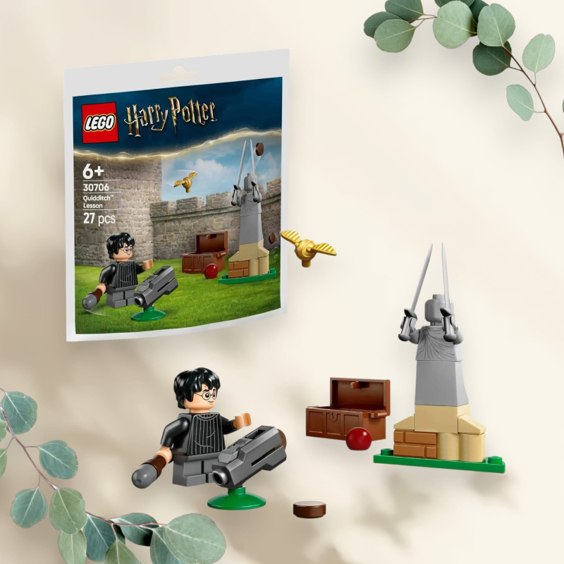LEGO Harry Potter Zwerkbal Les - 30706